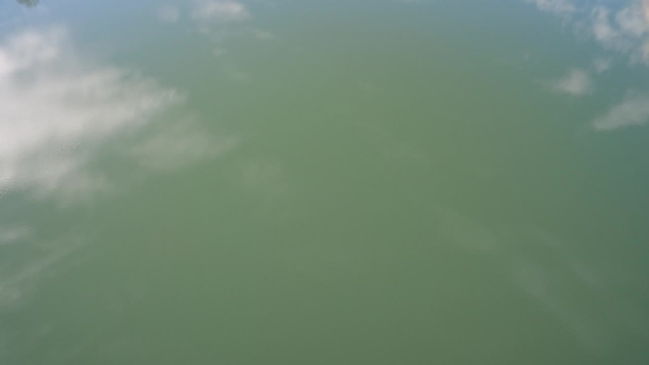 Green water surface with pale cloud reflections.