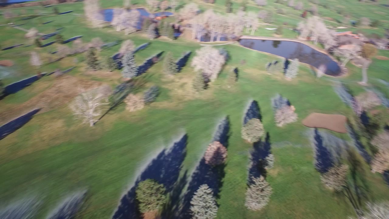 Aerial view of green fairways with ponds, trees, and sand bunkers.