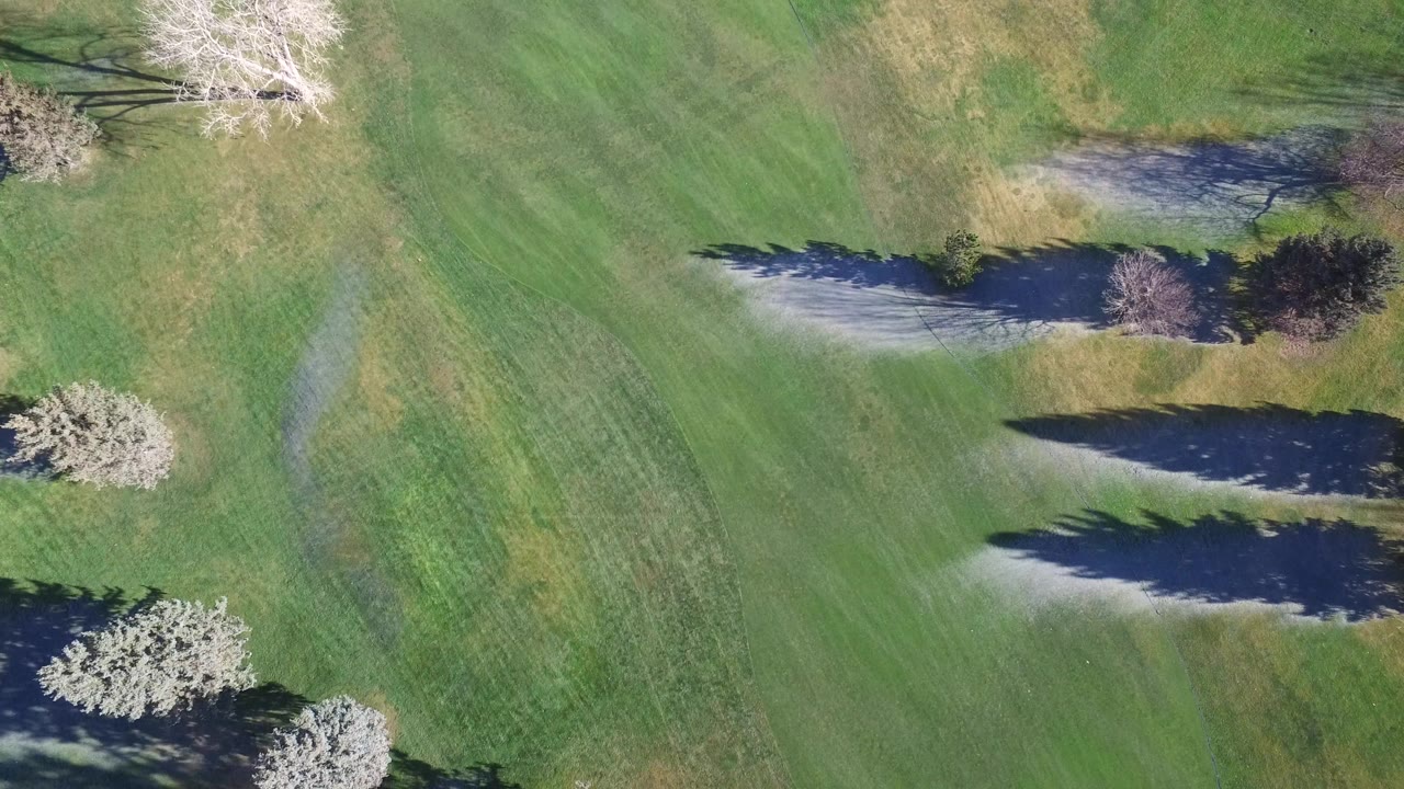 Aerial view of green grass with scattered trees and long shadows.