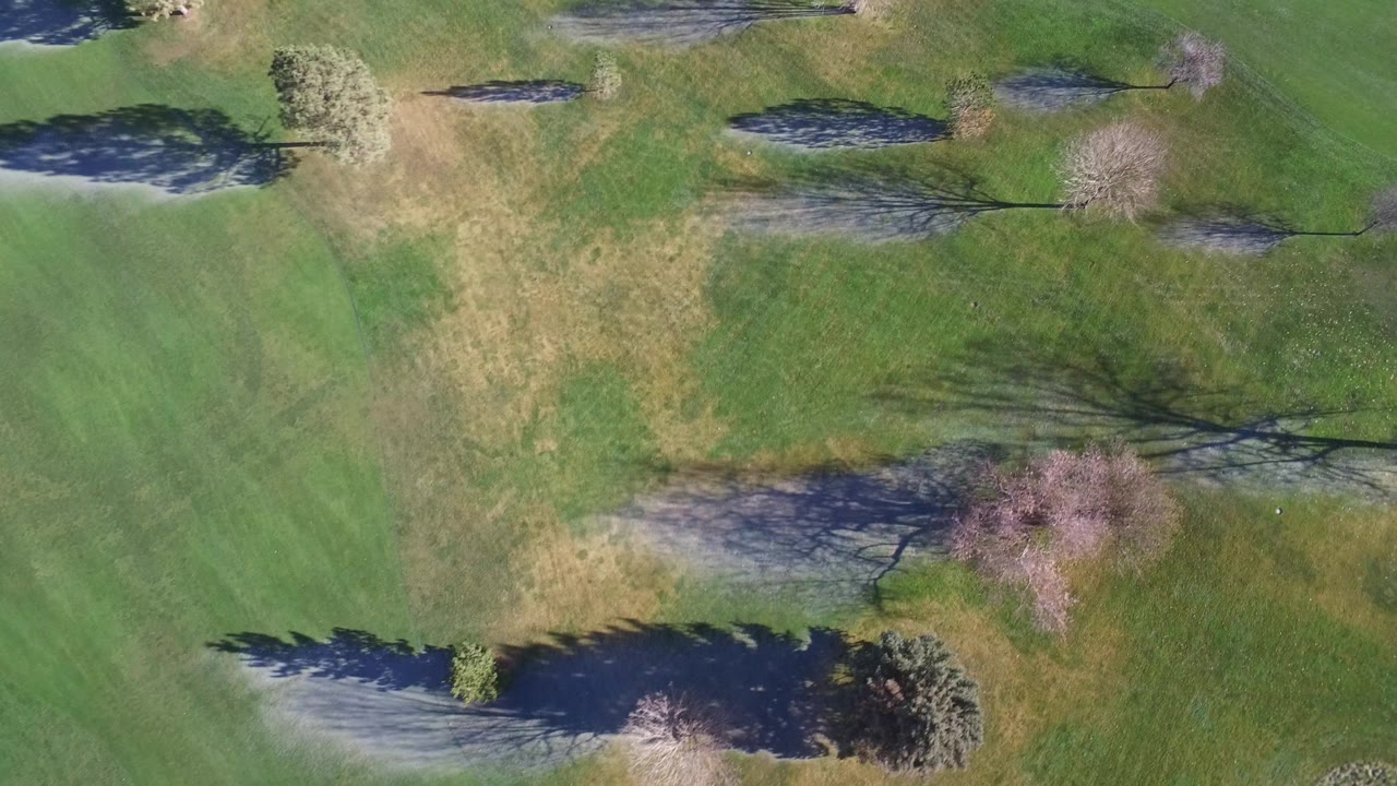 A high aerial frame over Westminster, Colorado grass shows leafless trees, evergreens, pale ground patches, and dark tree shadows with no visible people.