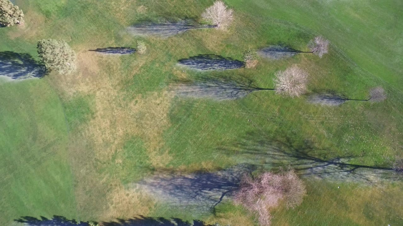 Overhead view of open grass with trees and elongated shadows.
