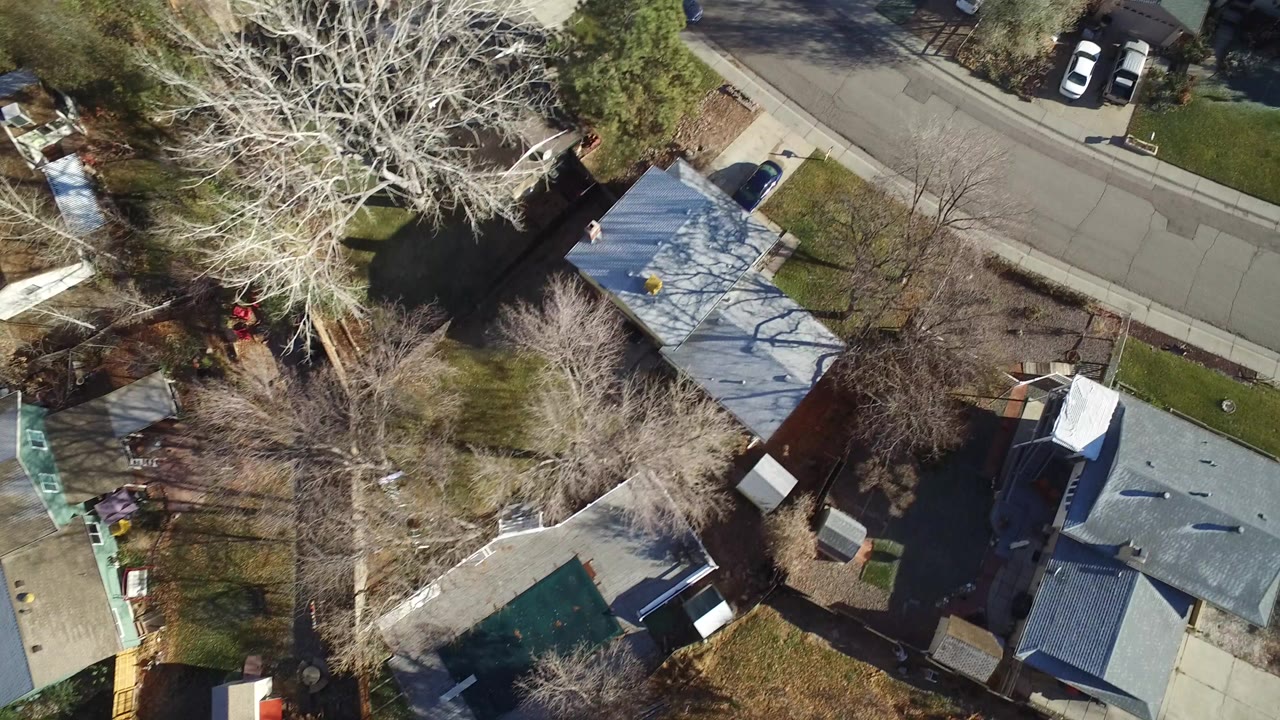 High overhead view in Westminster, Colorado showing pitched-roof houses, leafless trees, fenced yards, parked cars, and a curved residential street, with possible tiny people near a yard.