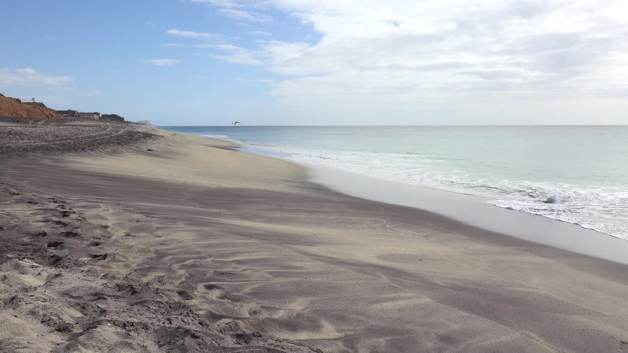 Beach and ocean horizon with small birds in the sky
