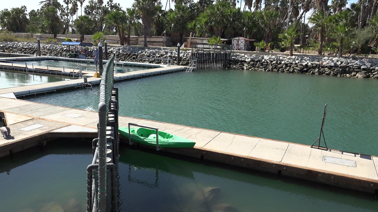 Green kayak tied or resting beside a concrete dock in San Jose del Cabo, Mexico, with calm green-blue water, floating walkways, rocks, trees, and no visible people.