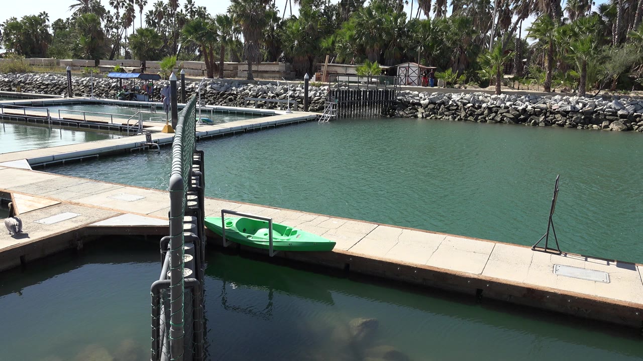 Opening frame of a San Jose del Cabo waterfront with an empty dock, green kayak, rippled water, rocks, palms, and no visible people.