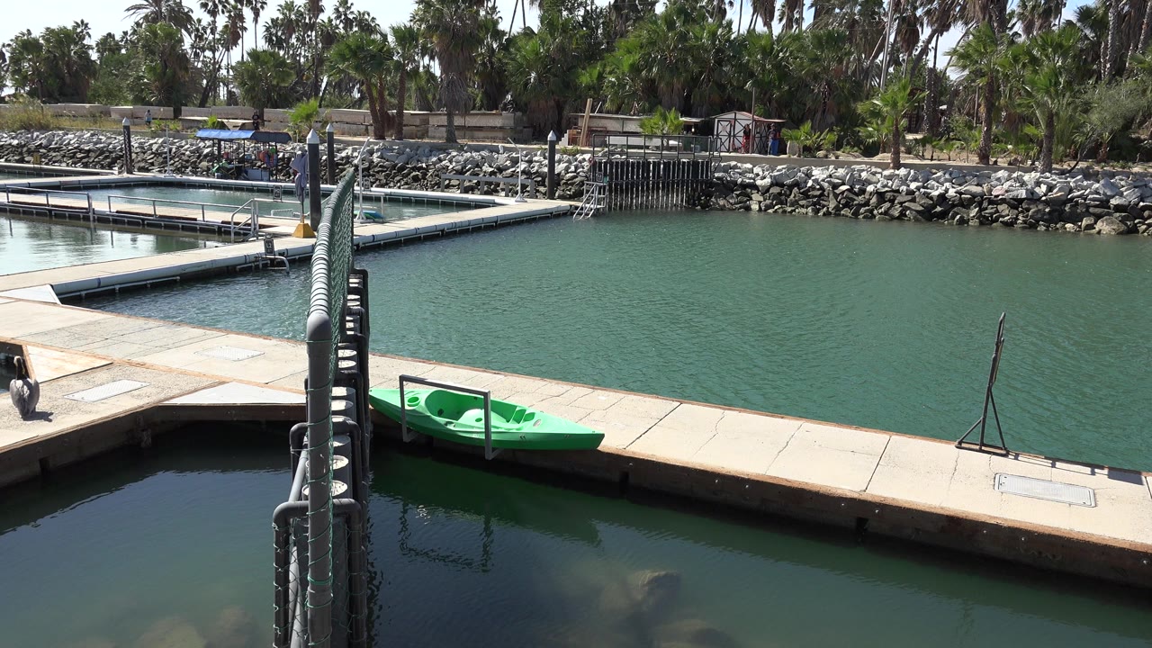 San Jose del Cabo waterfront view with dock railings in the foreground, a green kayak along the boardwalk, rocks and trees beyond the water, and no visible people.