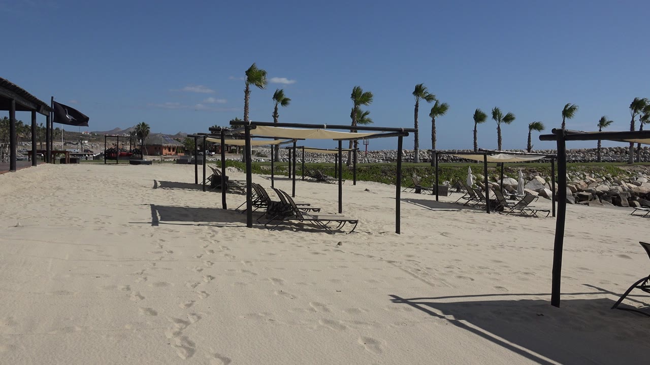 Sunny beach shade structures with lounge chairs and palm trees.