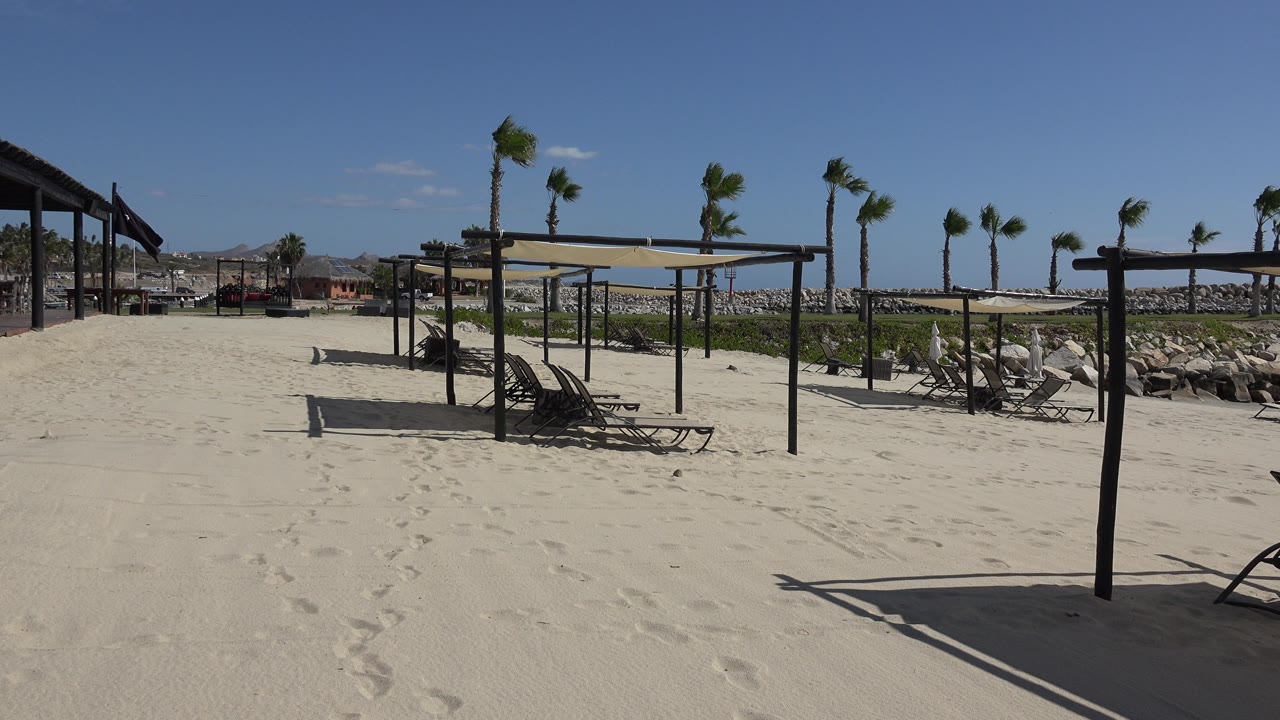 Sunlit beach sand with empty lounge chairs, palm trees, shade frames, and rocks beyond.