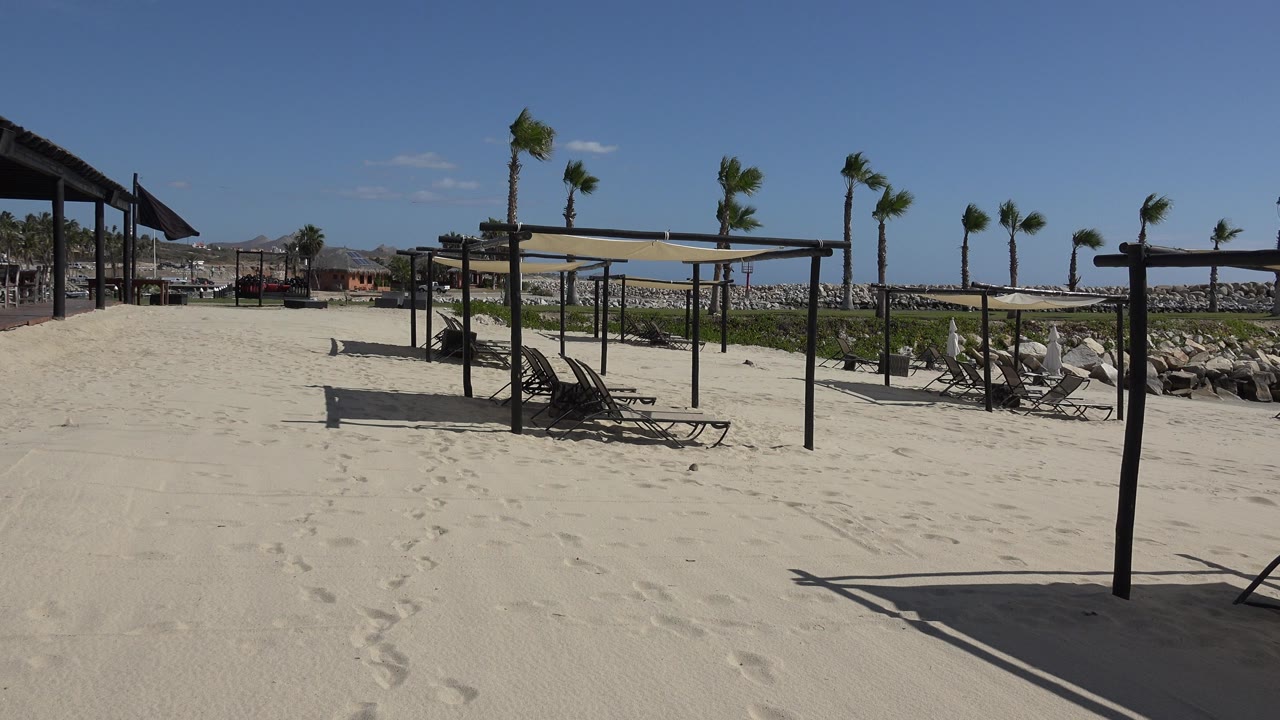 San Jose del Cabo sand area with a central shade canopy, empty dark loungers, white sunbeds to the right, wind-bent palms, rocks, and no visible people.