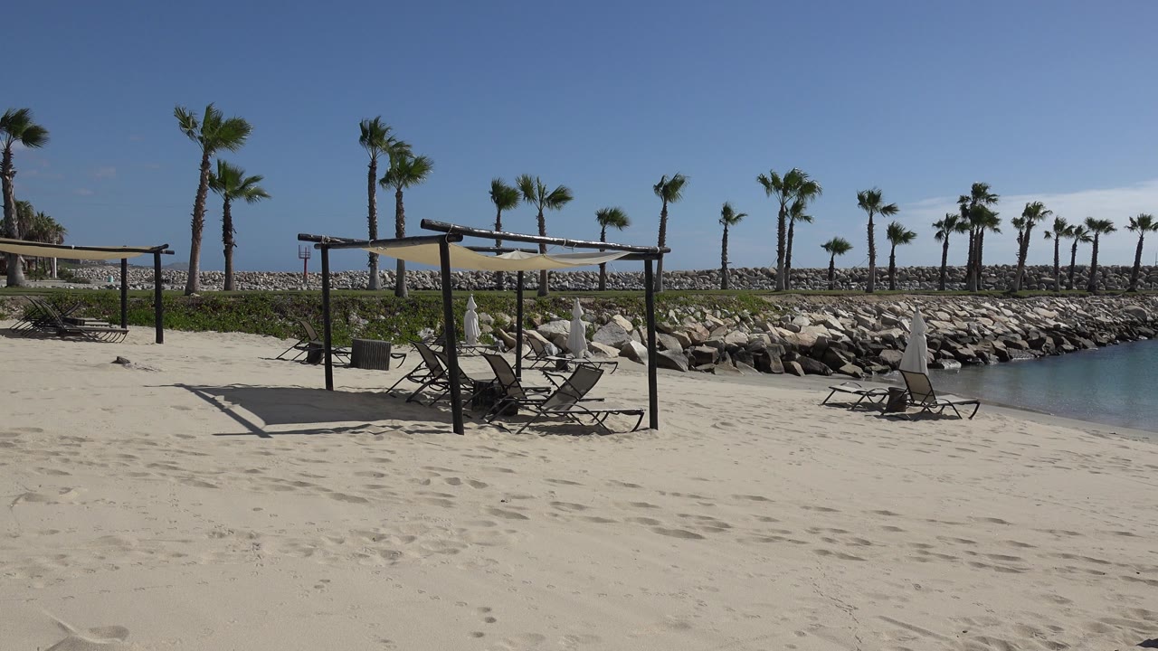 Empty sandy beach with chairs, shade posts, palm trees, rocks, and water to the right.