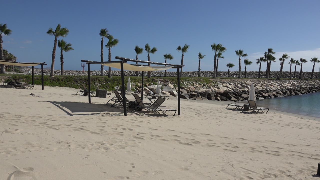 Wide beach view in San Jose del Cabo, Mexico, showing pale sand, lounge chairs beneath shade frames, palm trees along rocks, blue water at right, and no visible people.