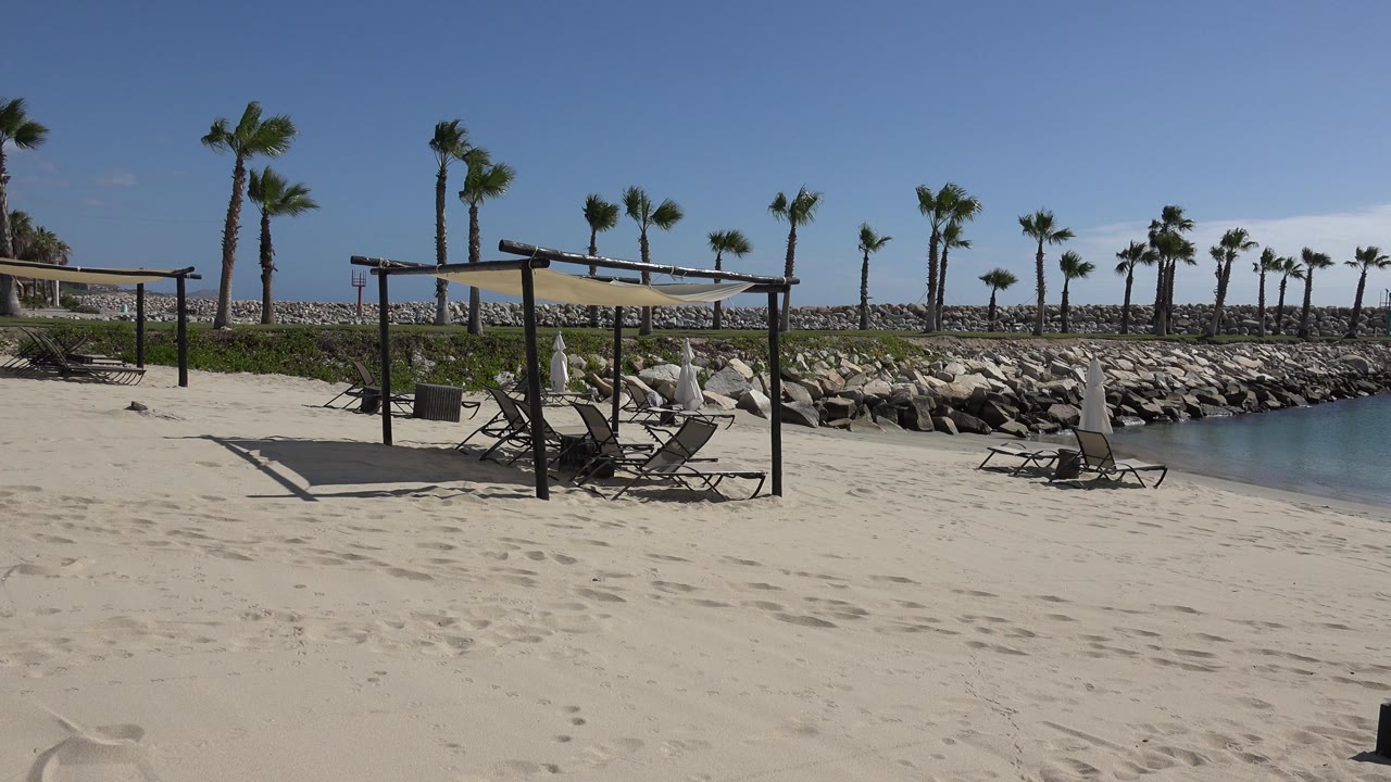 Sunny empty beach seating area with palms and calm water