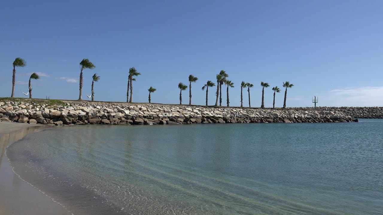 Turquoise water beside sand with a rocky outcrop and palm trees.