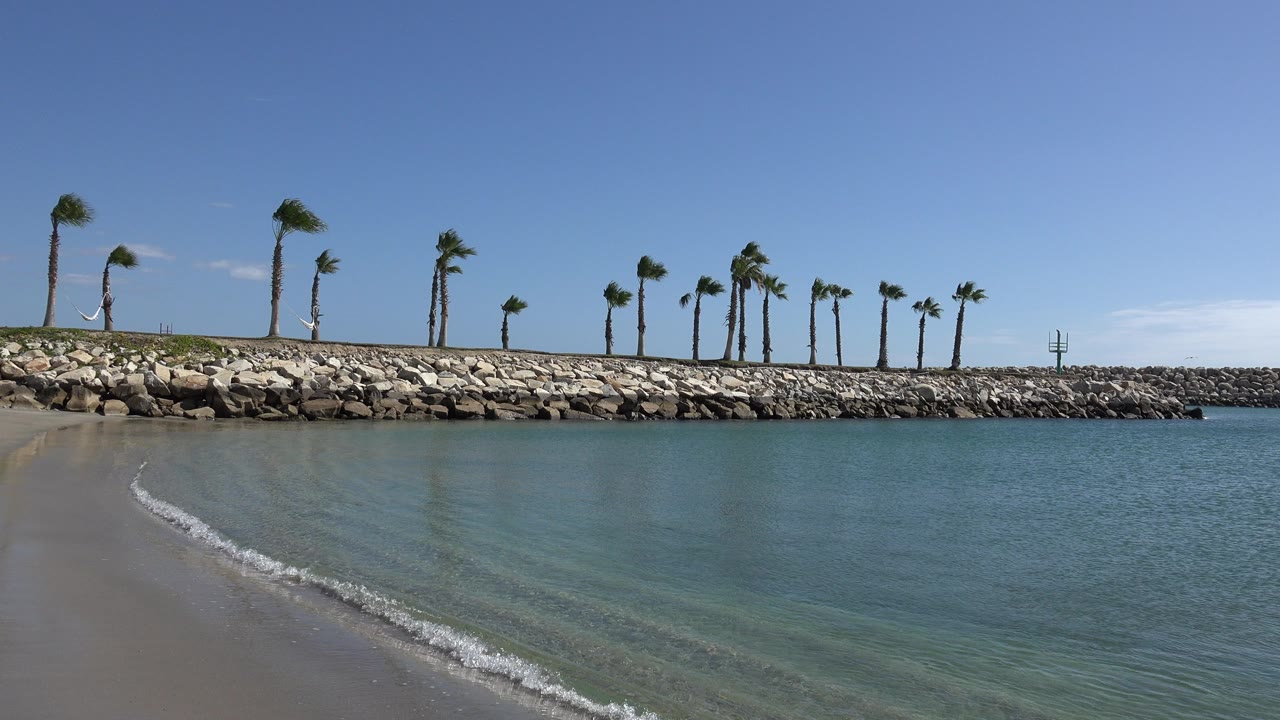 Opening frame of San Jose del Cabo shoreline with a small wave on wet sand, clear blue-green water, a rock barrier, palm trees, blue sky, and no visible people.