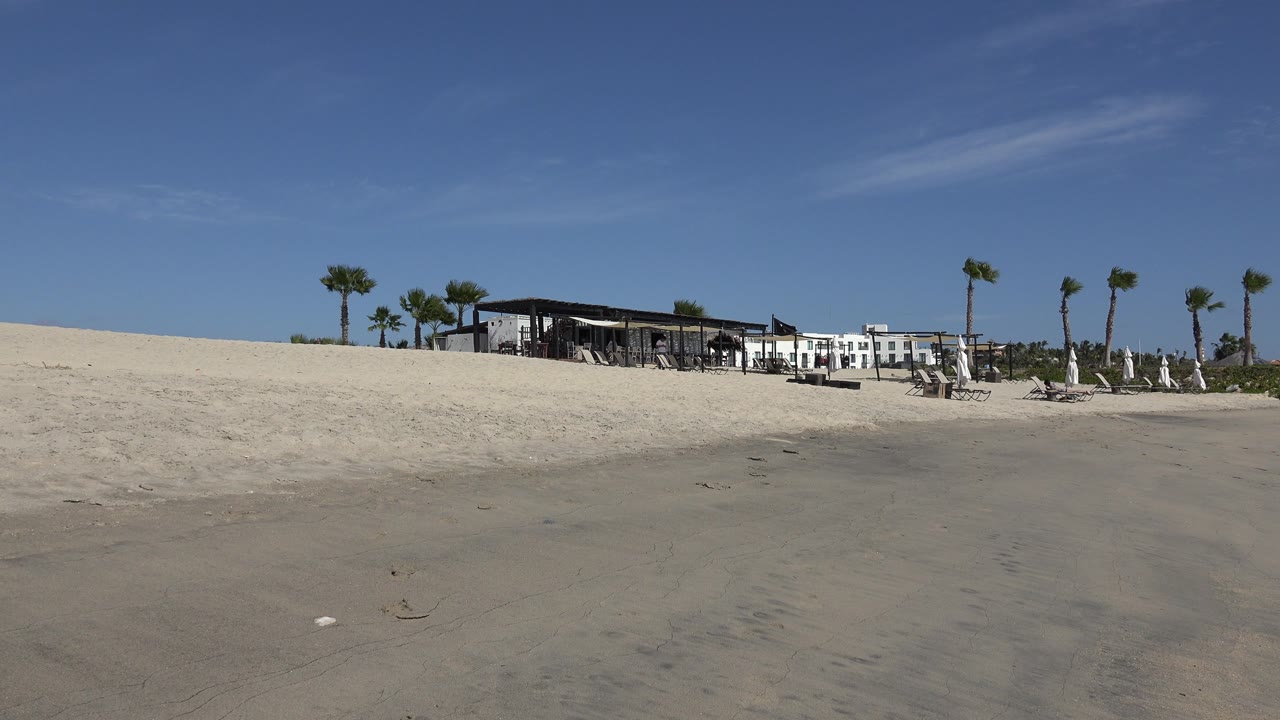 Beach and dunes with palms, lounge chairs, and white buildings in the distance