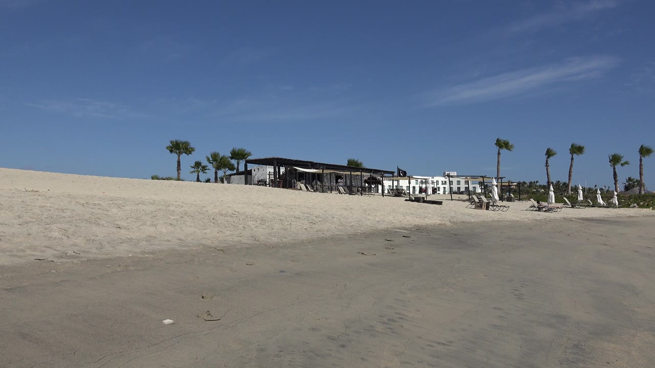 Wide San Jose del Cabo beach view at the start of the clip, with wet sand in front, a shaded building and white structures in the distance, palm trees along the horizon, and no visible people.
