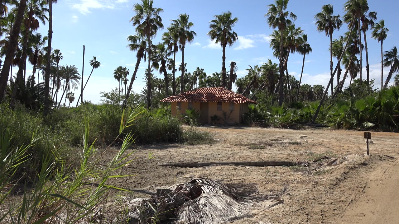 Opening frame in San Jose del Cabo, Mexico showing a small red-tiled house beyond dry sand, green brush, and tall palm trees, with no visible people.