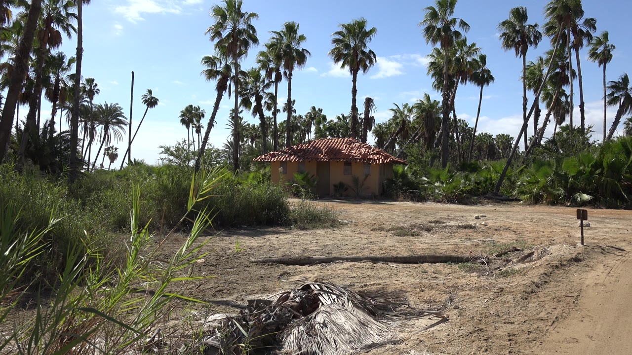 Second frame in San Jose del Cabo, Mexico with the small house centered behind a sandy clearing, palms overhead, foreground dry fronds, and no visible people.