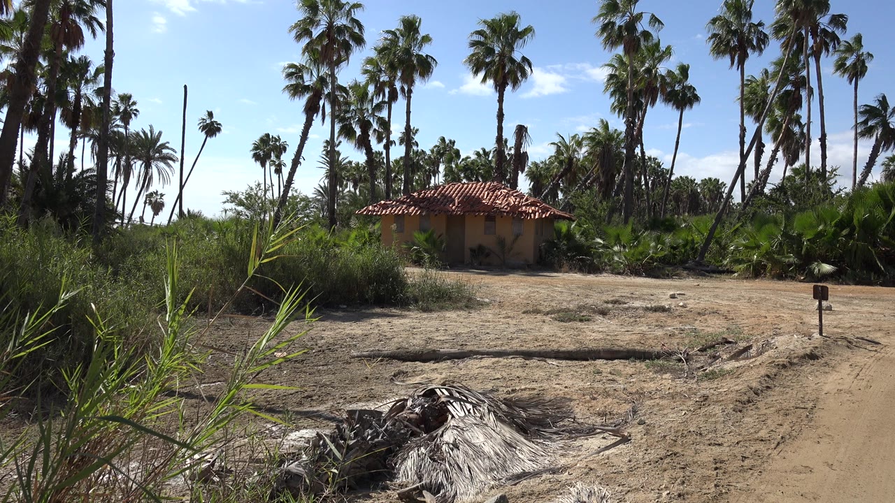 Small tile-roof house among palms beside sandy paths