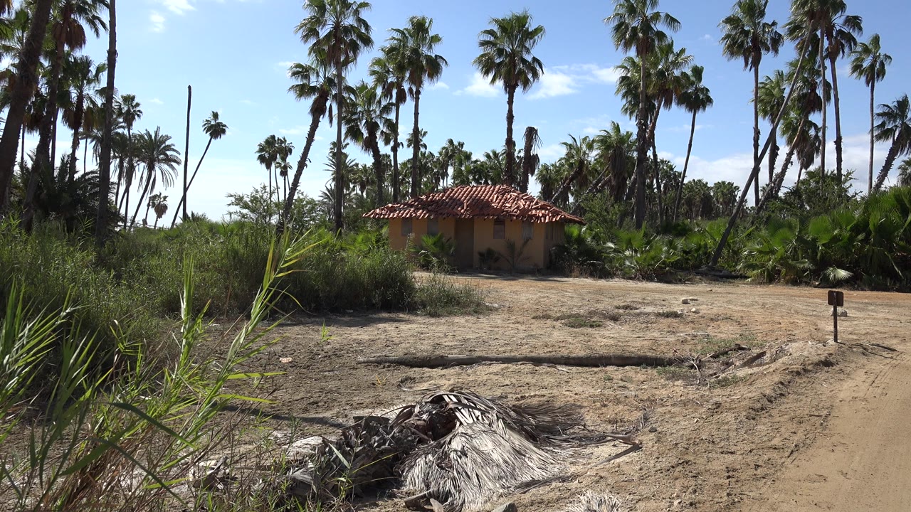 Small red-roofed house beyond dry ground and tall palm trees.