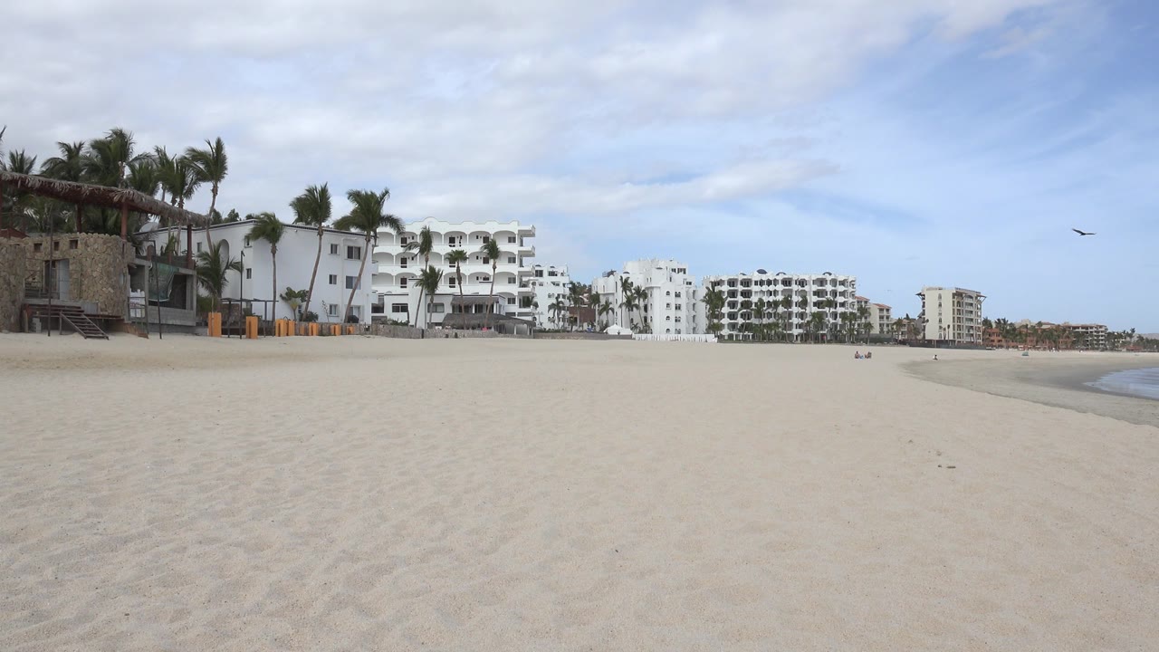 Wide sandy beach with palm trees, white buildings, and shoreline water