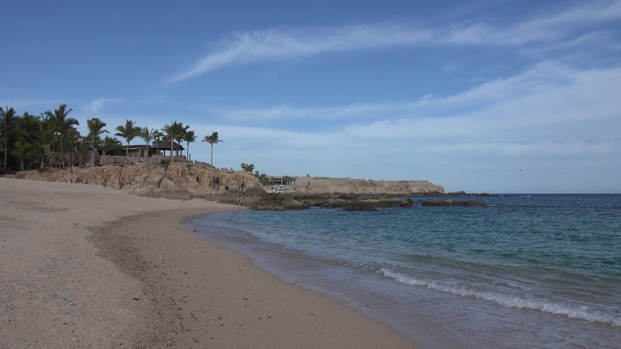 Beach shoreline with rippled water and palm trees above rocks
