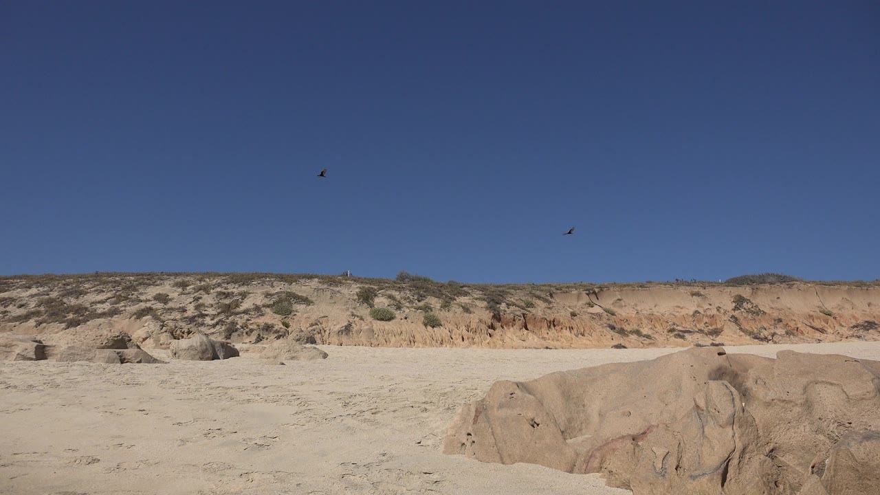 At the start of the Los Cabos clip, small birds appear in a clear blue sky above pale sand, rounded foreground rocks, and a low scrub-covered ridge, with no visible people.