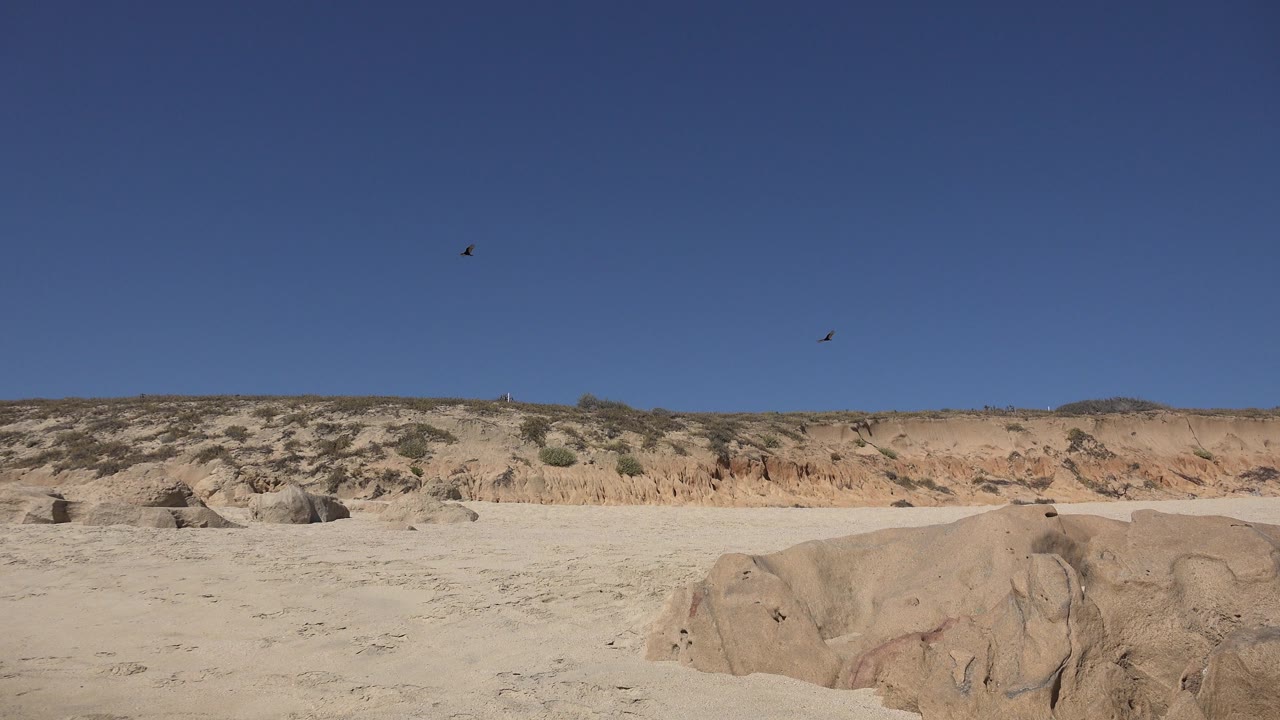 One second in, the Los Cabos desert view keeps the low sandy foreground and scattered rocks while small dark birds sit higher in the open blue sky, with no visible people.