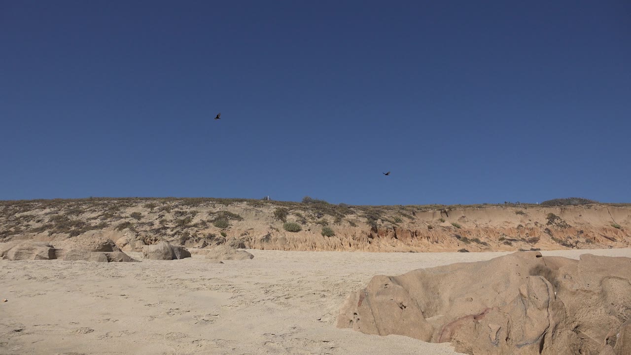 Small birds above pale desert sand and eroded ridge