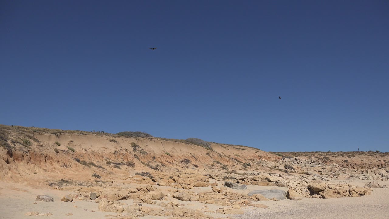 A small seagull flies high in a clear blue sky above sandy rocky bluffs in Los Cabos, Mexico, with no visible people.
