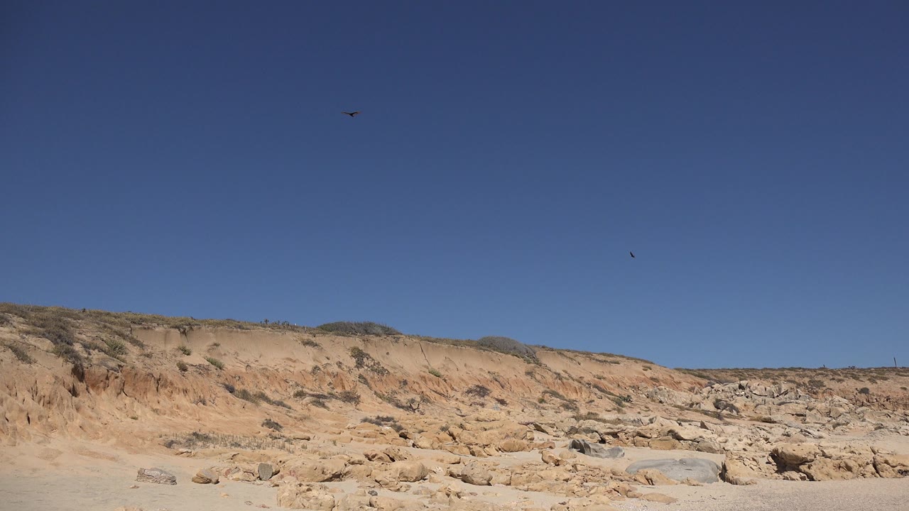 Seagull crossing open sky above rocky tan slope