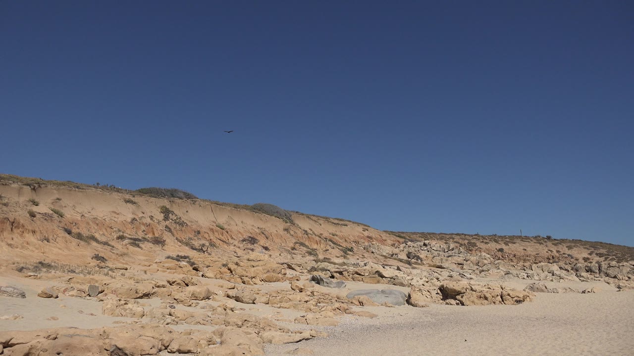 A small bird crosses the upper sky over pale sand, scattered rocks, and tan brush-covered slopes in Los Cabos, Mexico, with no visible people.