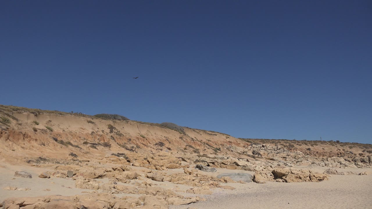 Bird in blue sky over dry rocky landscape