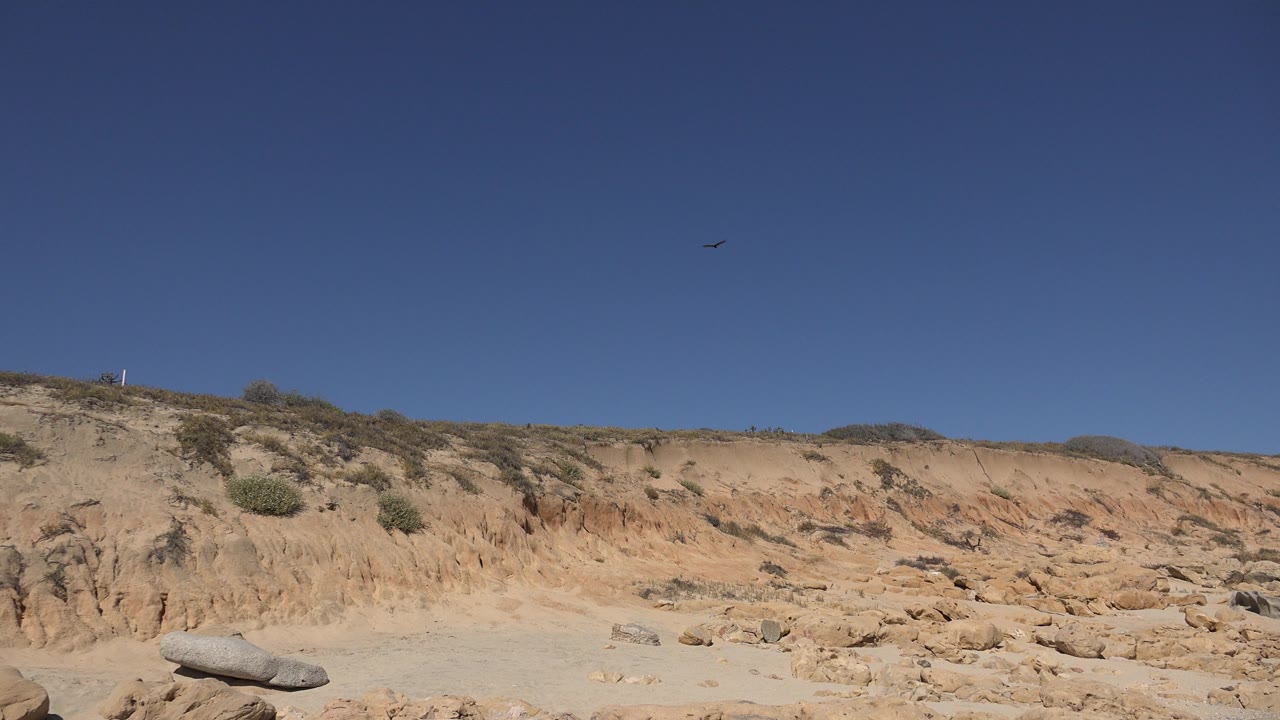 Clear sky over rocky sand and a scrub-covered beach ridge.