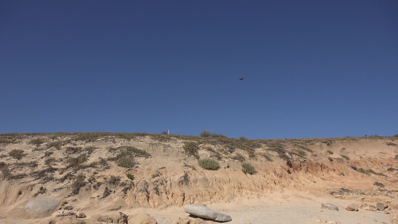 Los Cabos eroded sand bank with low scrub along the ridge and a small dark speck high in the blue sky, no visible people.