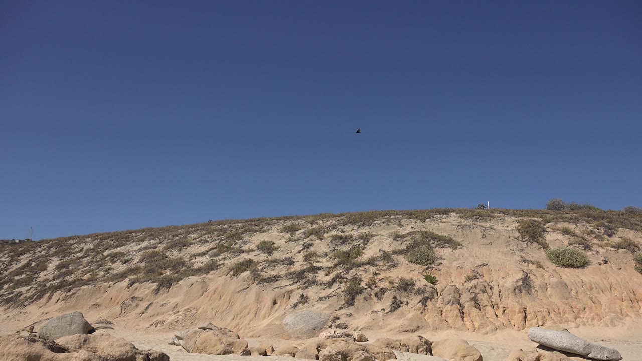 Los Cabos beach dune with tan eroded sand, low scrub along the ridge, foreground rocks, wide blue sky, and no visible people.