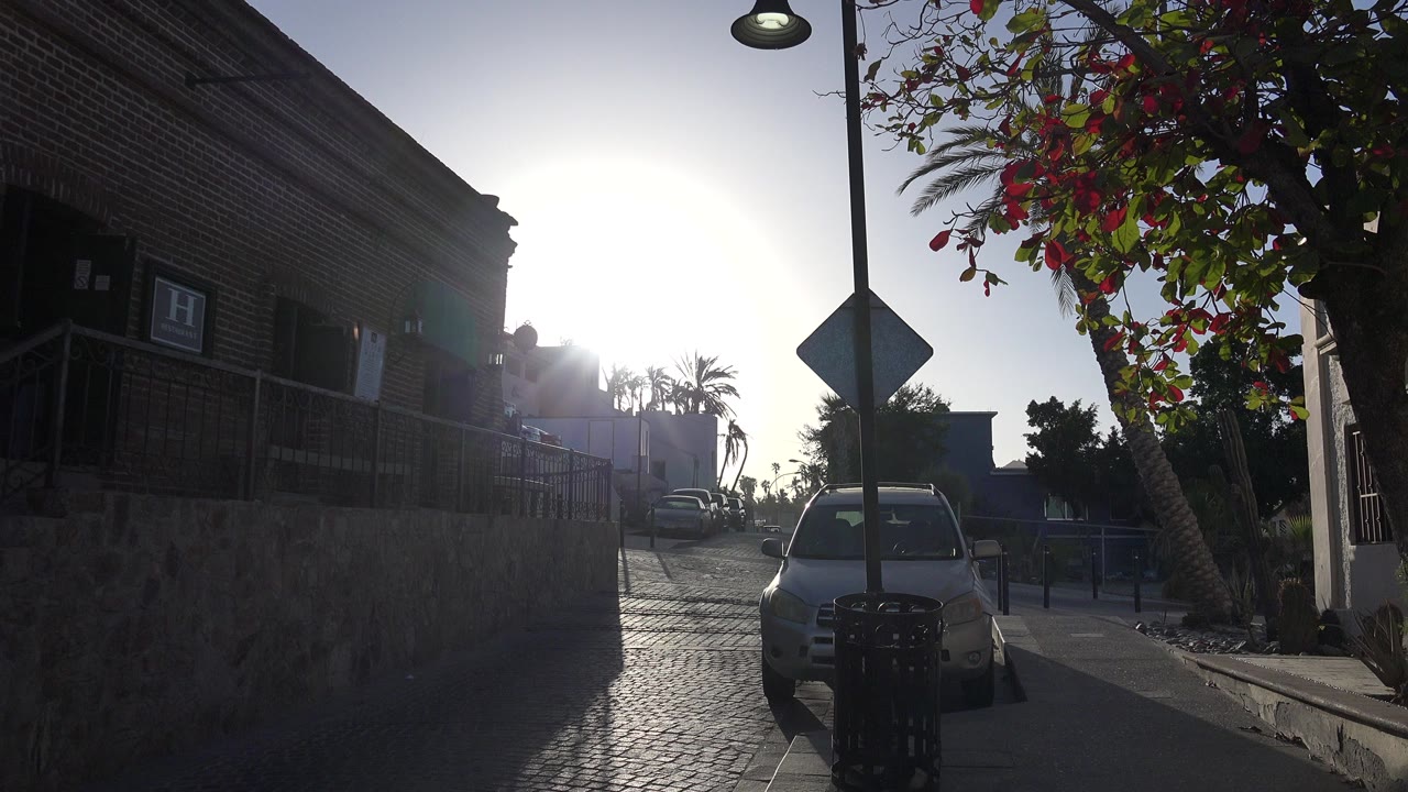 Parked car below a road sign on a sunlit street