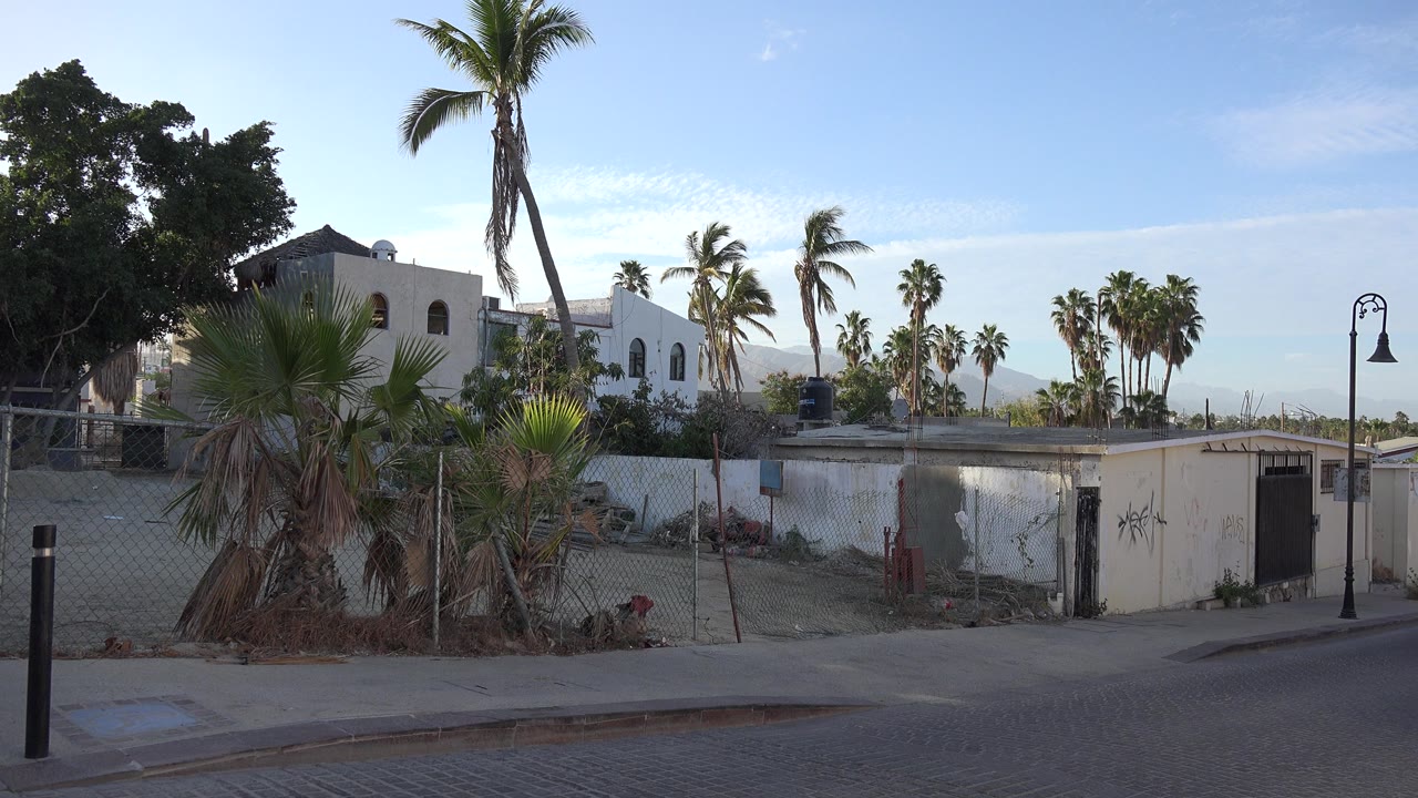 Quiet street with palms, white walls, and low buildings
