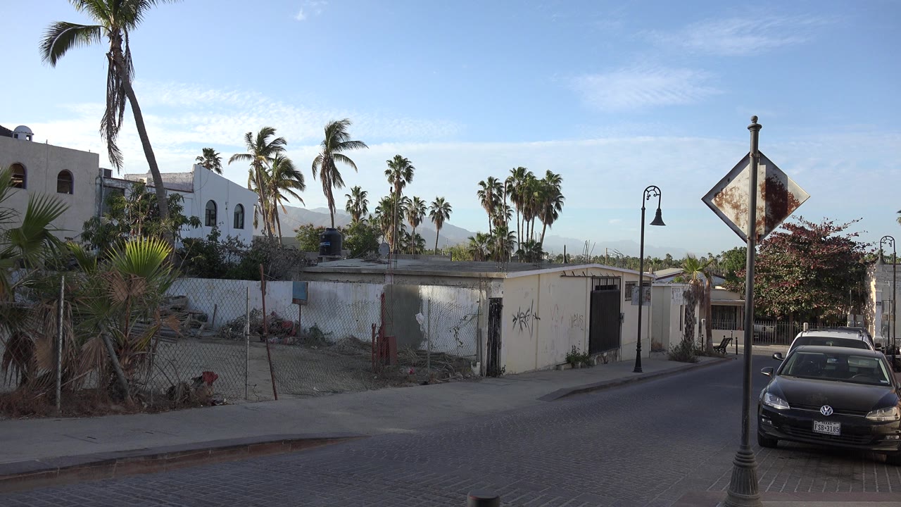 Sunlit street with palms, white buildings, a parked car, and distant hills.