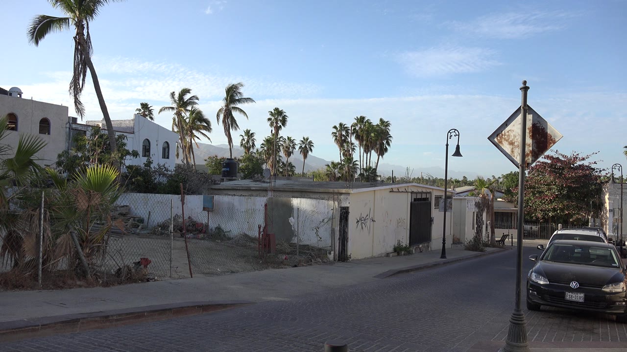 Los Cabos street frame with the dark Volkswagen closer to the right foreground, low white structures behind fencing, palms rising above the buildings, and no clearly visible people.