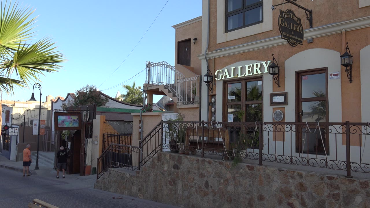 Gallery storefront beside a narrow pedestrian street with palm leaves and people in the distance.