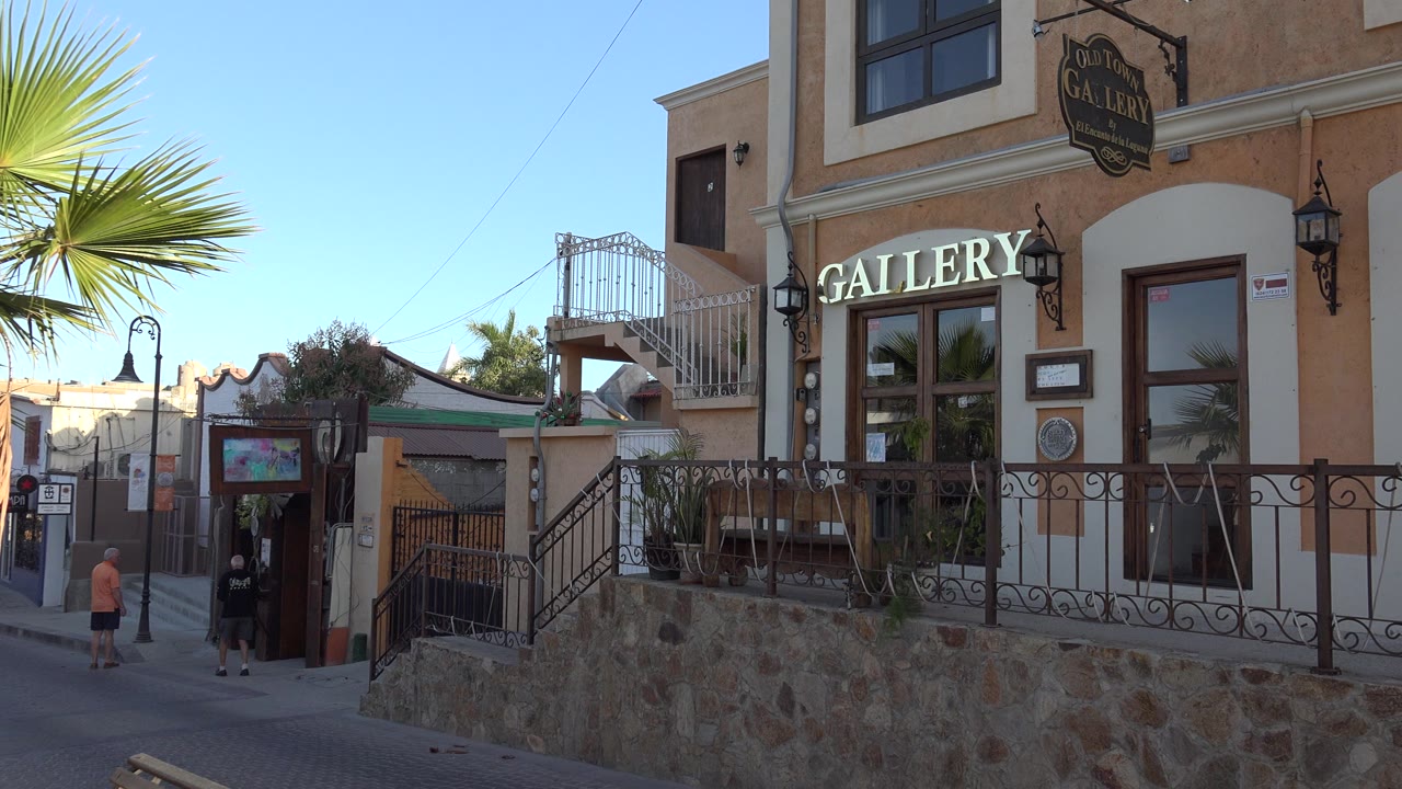 Los Cabos, Mexico commercial walkway with the gallery sign and entrance on the right, palm fronds cutting into the sky, a stone wall in the foreground, and people walking near the left side of the street.