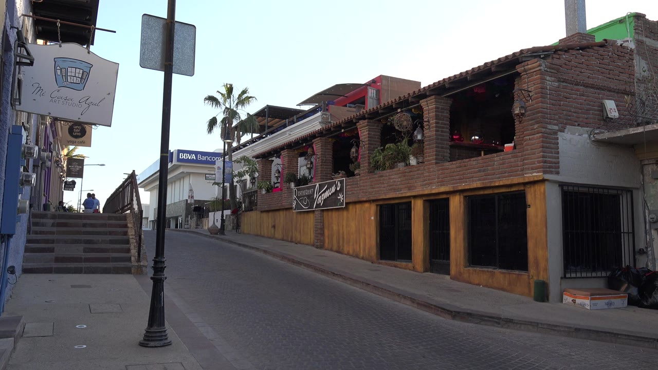 Quiet street with stairs, signpost, brick storefront, and palm tree.