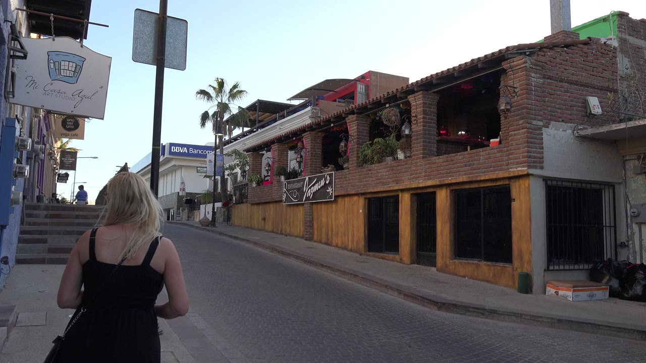 A blonde woman in a black dress walks away from the camera on a quiet Los Cabos street with brick storefronts, stairs, signs, and a palm tree ahead.