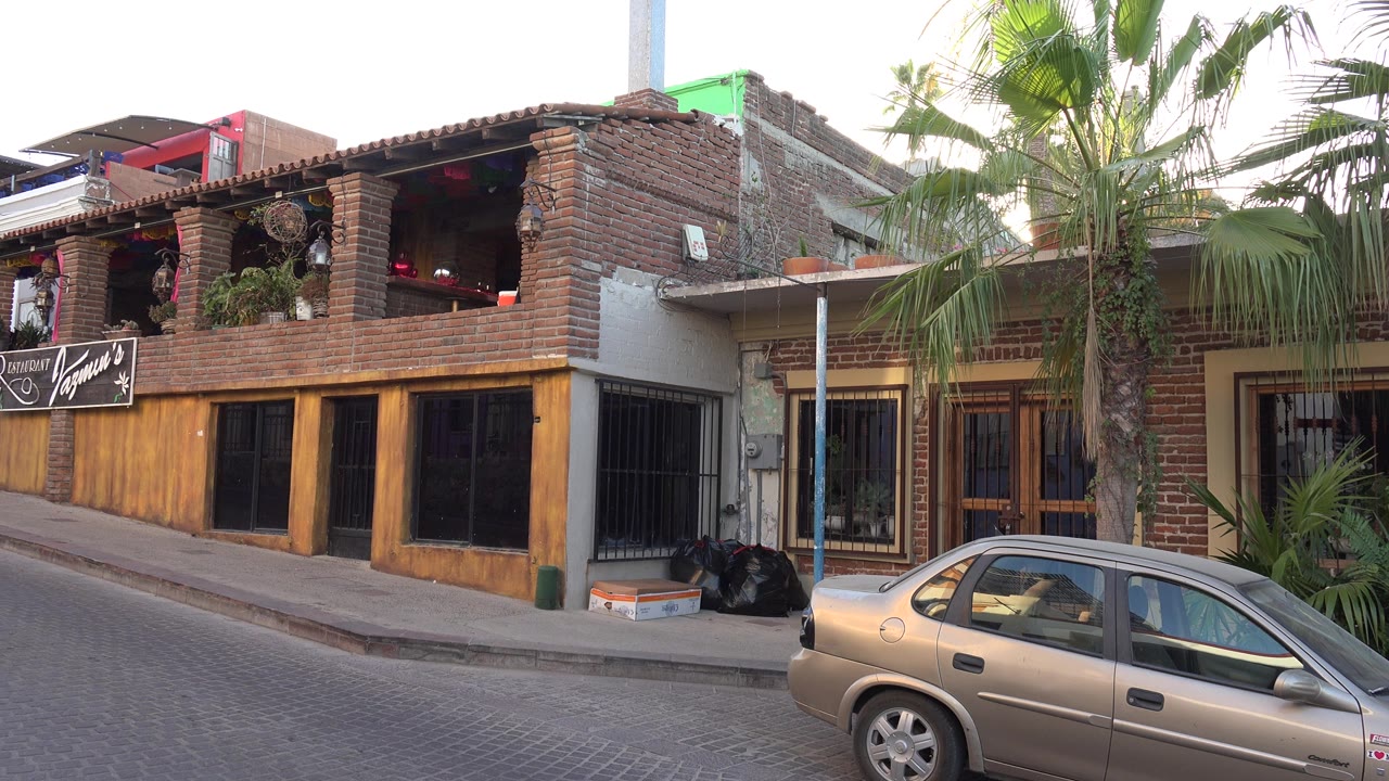 Brown roadside building with palm trees and a parked beige car