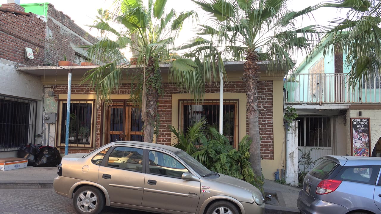 Parked tan sedan in front of palm trees and brick-stucco storefronts.
