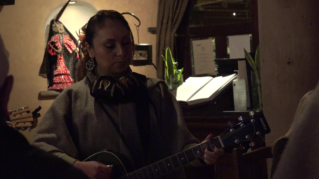 Female musician playing guitar in a dim restaurant.