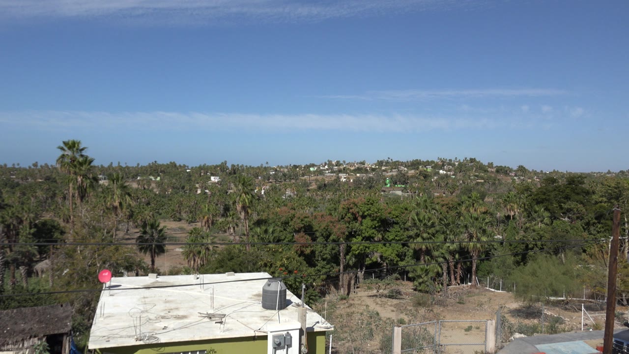 Wide daytime view over trees, rooftops, and distant hillside buildings.
