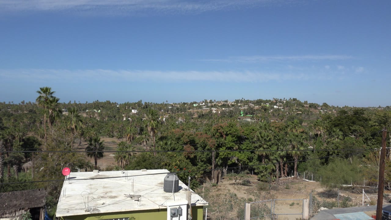Los Cabos frame showing the same white rooftop lower in frame, a tall palm near center, thick green vegetation, distant hillside structures, and no visible people.