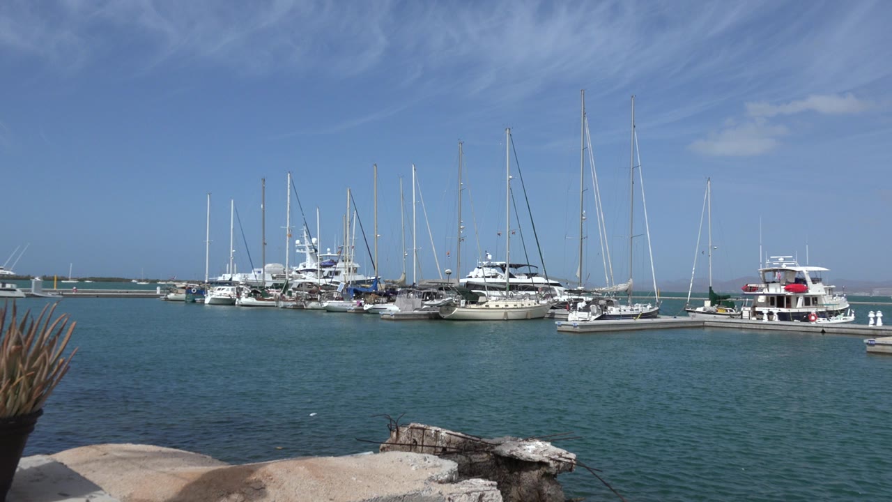 Wide Los Cabos marina view with docked yachts and sailboats across blue-green water, foreground stone edge and plant fronds, and no visible people.